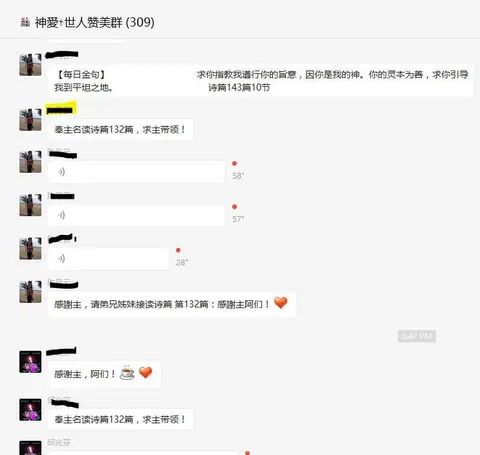 Mandarin Wechat group for scripture